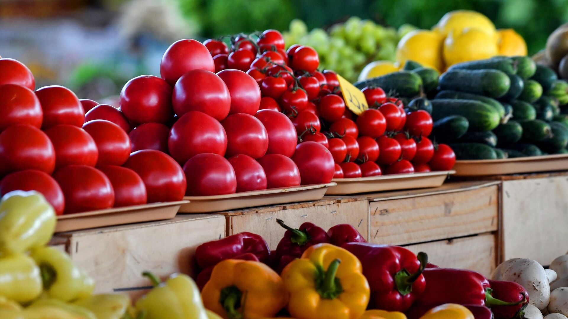 Россельхознадзор вводит ограничения на ввоз подкарантинной продукции из Армении